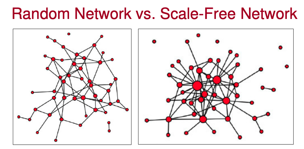 Random Network vs Scale-Free Network